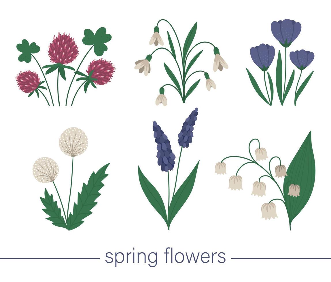 Vector set of cute flat spring flowers. First blooming plants illustration. Floral clip art collection isolated on white background.