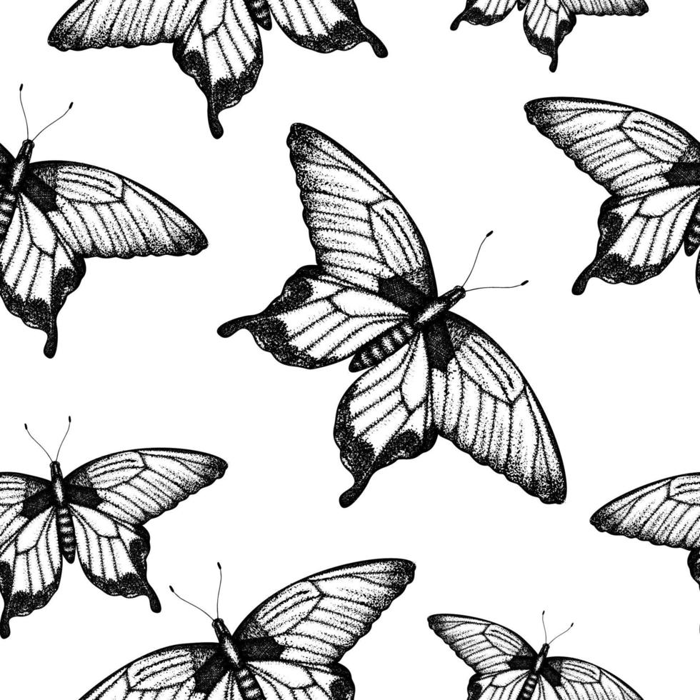 Vector seamless pattern of hand drawn black and white butterflies. Engraving retro illustration. Repeating background with realistic insect. Detailed graphic drawing in vintage style