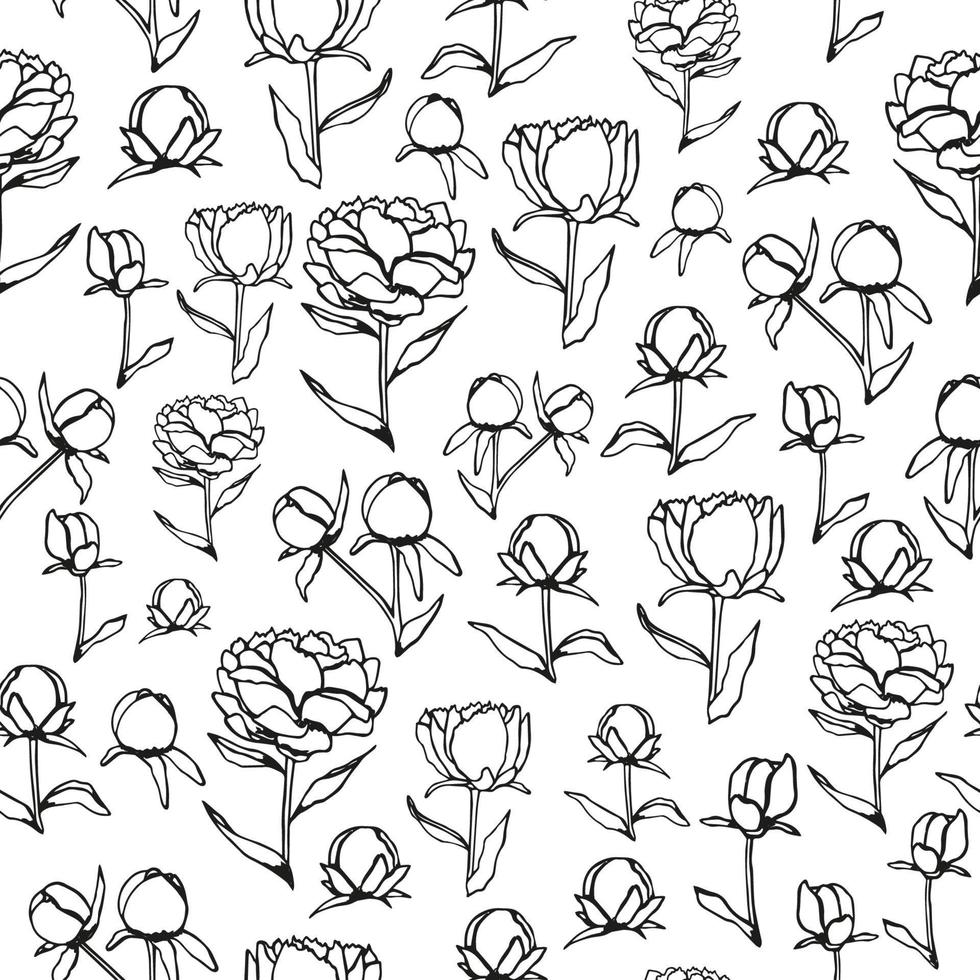 Vector seamless pattern of black and white blossoming peonies. Repeating background with hand drawn flowers isolated on white background