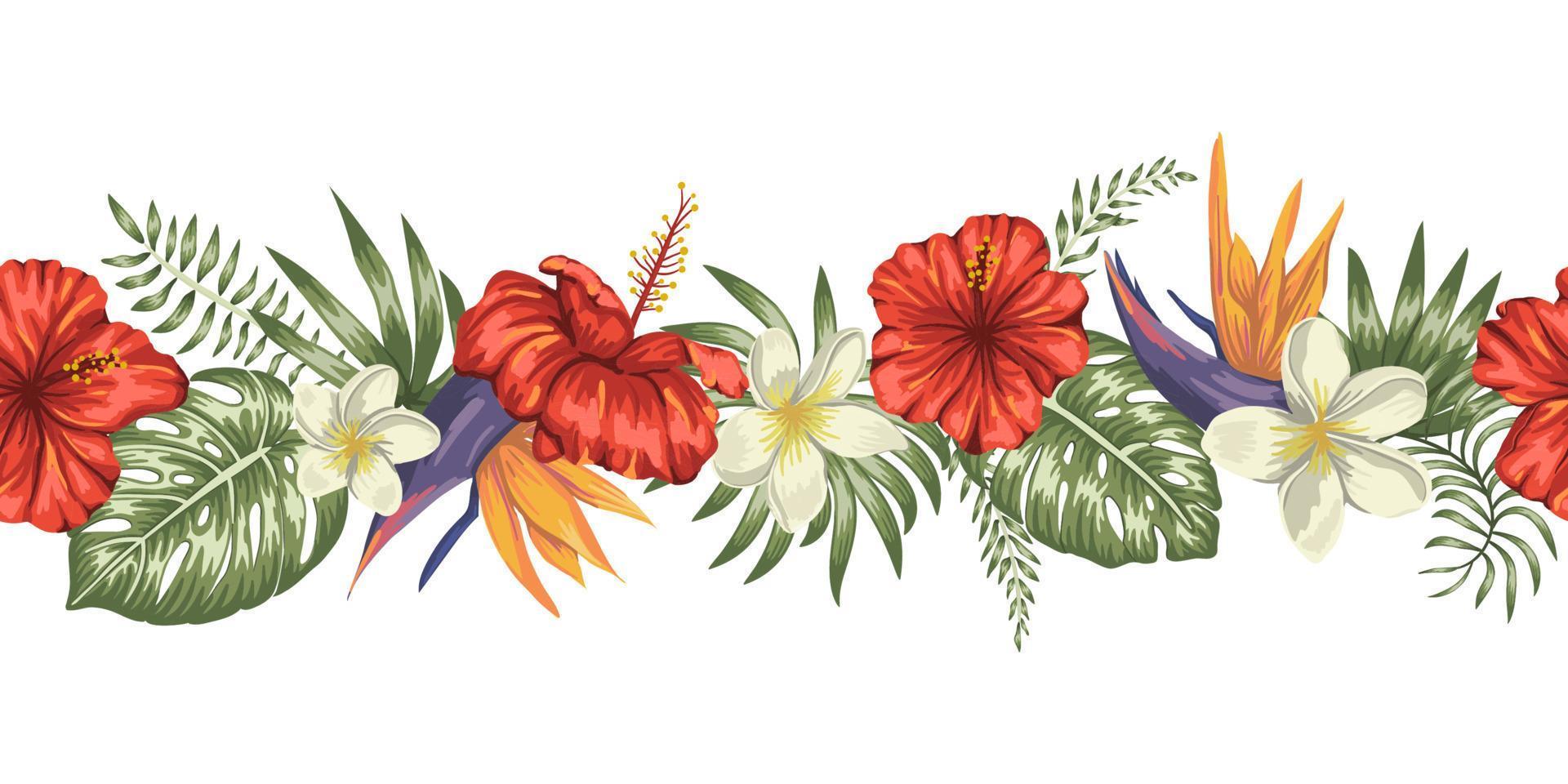 Cepillo de patrones sin fisuras de vector de hojas tropicales verdes con plumeria, strelitzia y flores de hibisco sobre fondo blanco. frontera tropical de verano o primavera. adorno de selva exótica.