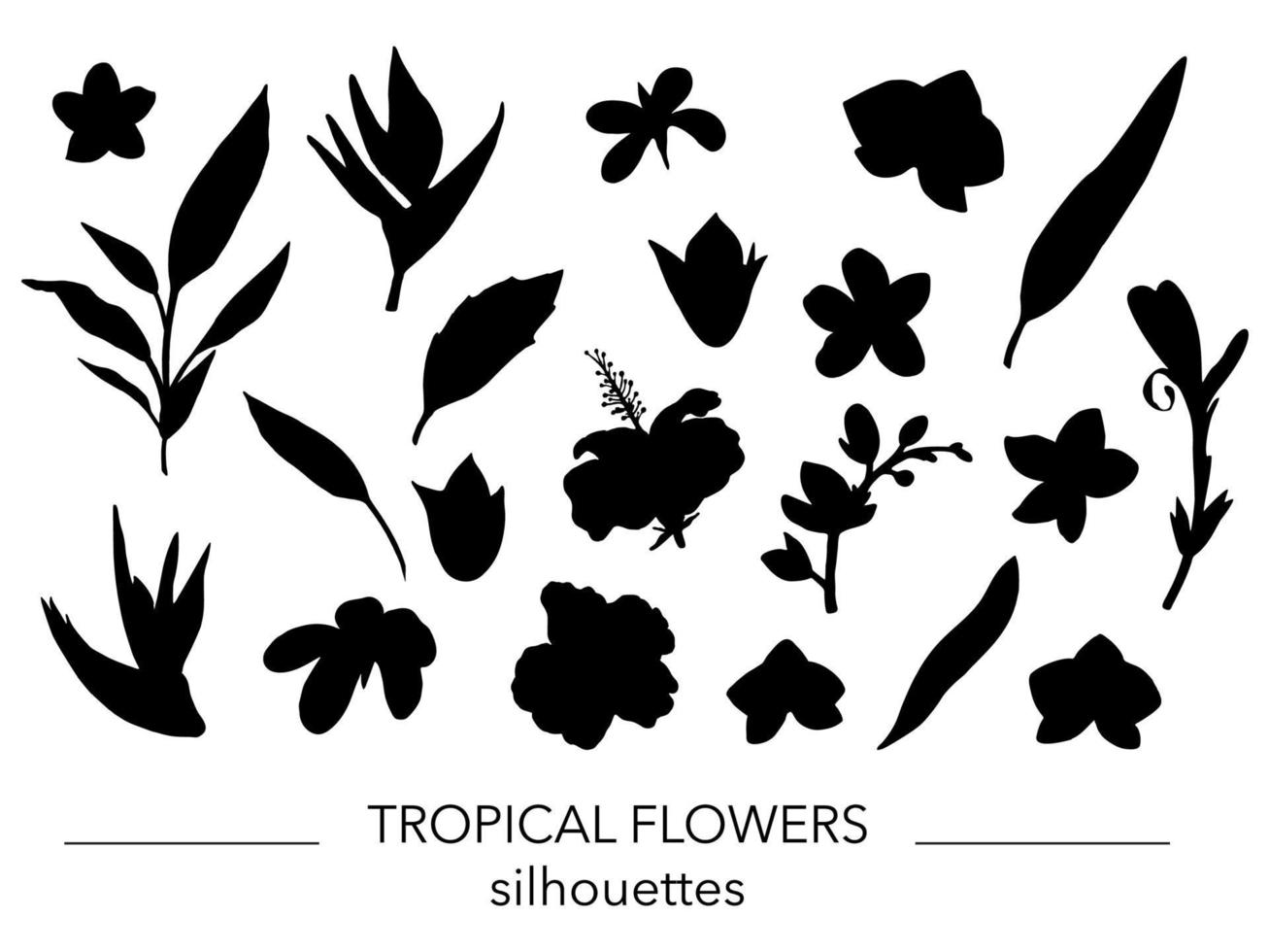 Vector set of tropical leaves and flowers silhouettes. Stencil of jungle foliage. Hand drawn palm tree,  banana,  monstera,  dieffenbachia,  fern,  alocasia,  plumeria, orchid. Tropic leaf clip art