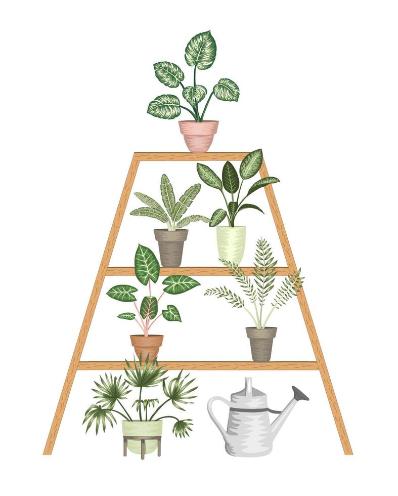Vector illustration of tropical houseplants in pots on a stand isolated on white background. Bright realistic monstera, alocasia, dieffenbachia, cordyline. Design elements for home decoration