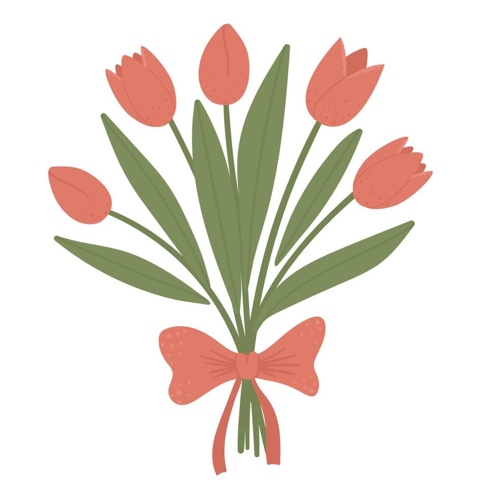 Vector illustration of tulips bouquet with bow isolated on white background. Spring traditional symbol and design element.