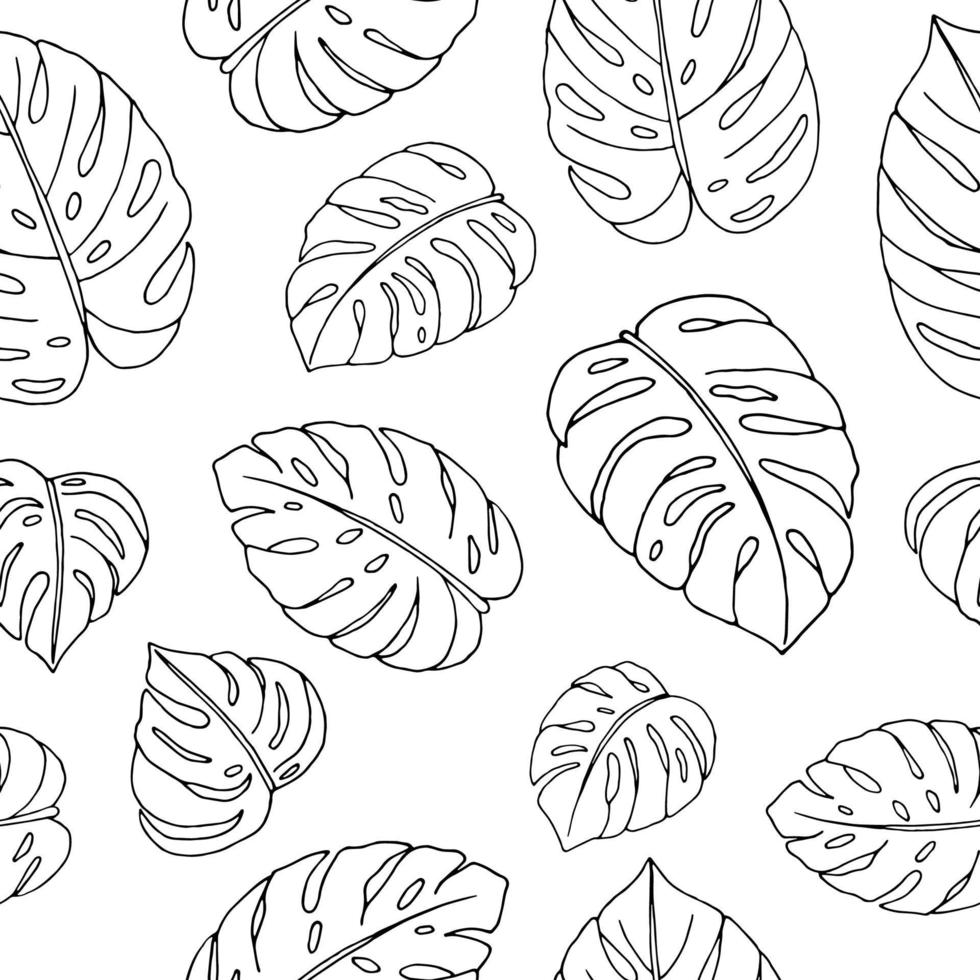 Vector seamless pattern of hand drawn monstera leaves on white background. Repeat tropical backdrop. Exotic jungle wallpaper.