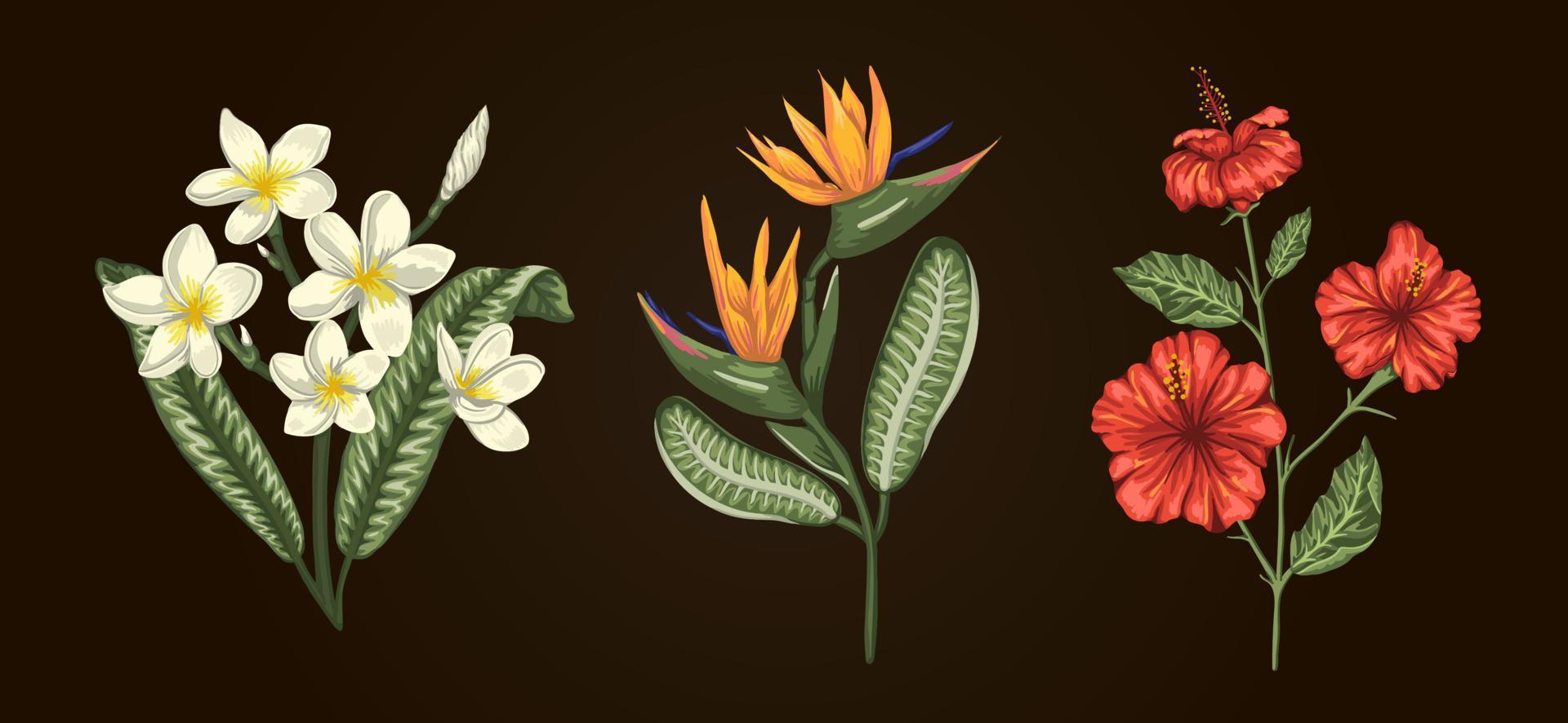 ilustración vectorial de ramos de flores tropicales aisladas sobre fondo blanco. hibisco realista brillante, strelitzia, plumeria. elementos de diseño floral tropical. vector