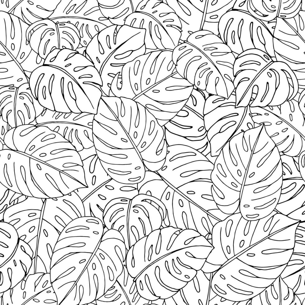 Vector seamless pattern of hand drawn monstera leaves on white background. Repeat tropical backdrop. Exotic jungle wallpaper.