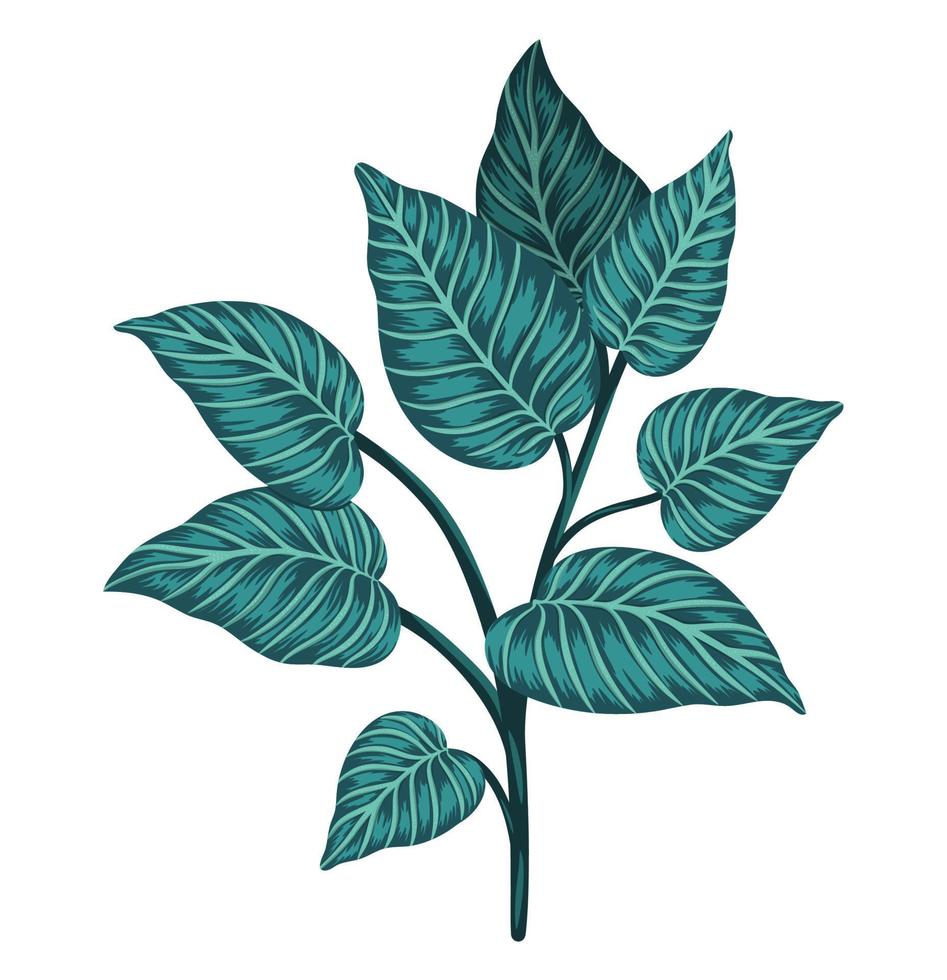 vector clip art de plantas tropicales. Ilustración de follaje de la selva. hojas exóticas dibujadas a mano aisladas sobre fondo blanco. imagen de estilo acuarela realista brillante.