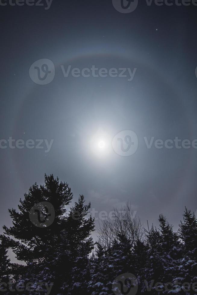 Moon Halo in Wild Forest during Winter photo