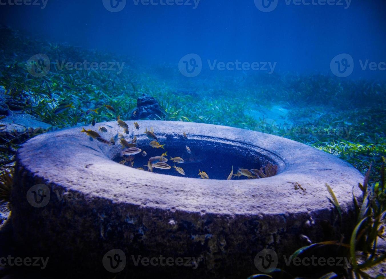 neumático encontrado bajo el agua foto