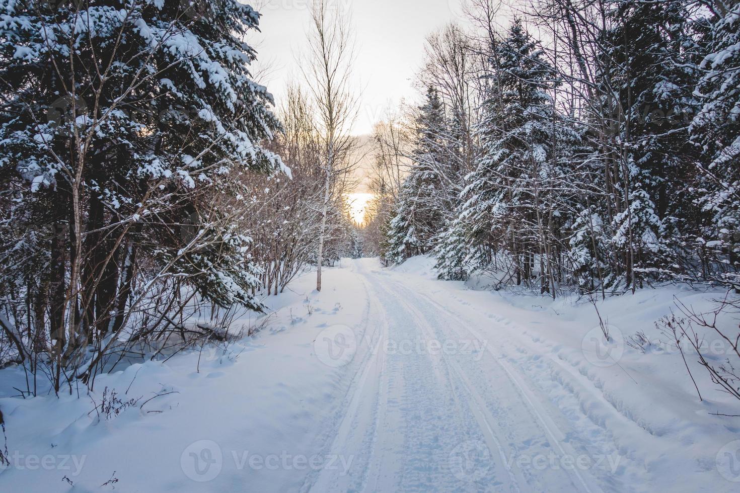 Snowmobile Path in the Wild Nature photo