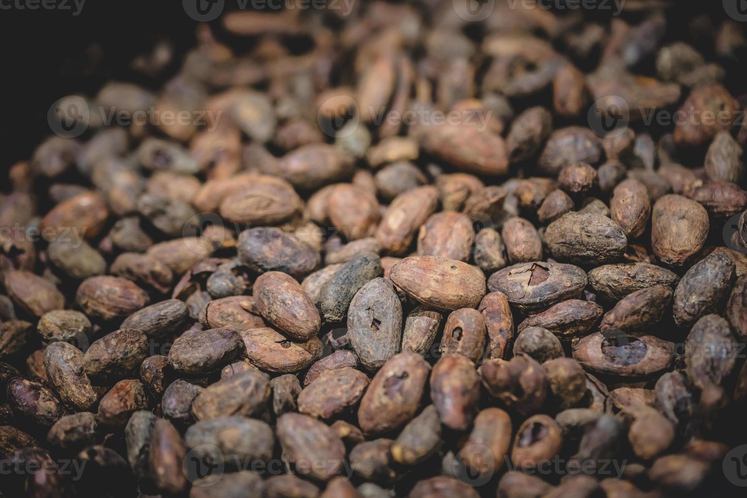 granos de cacao de color marrón oscuro foto