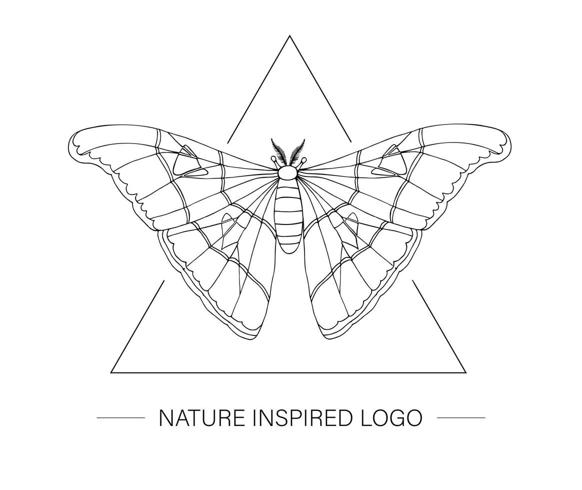 Vector hand drawn tropical atlas moth in a triangle. Tropic themed logotype for natural design. Butterfly outline isolated on white background