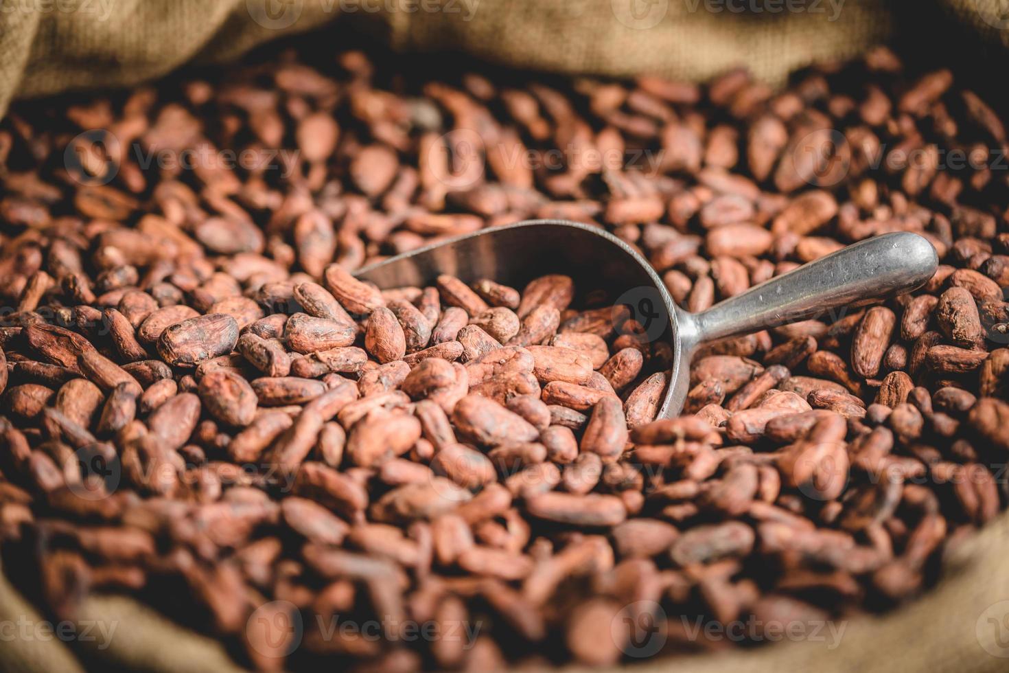 Canvas bag with Imported roasted cacao beans photo