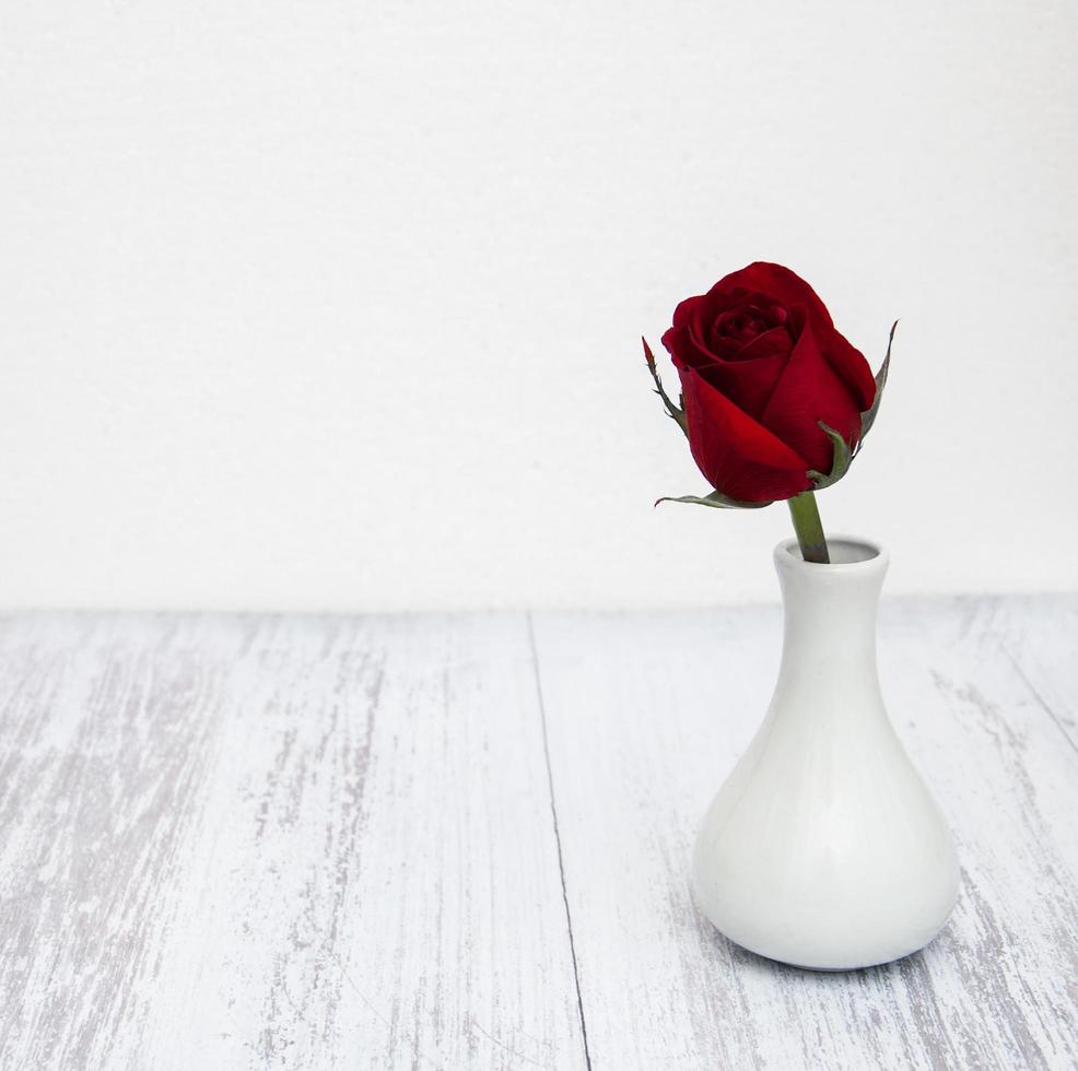 Vase with red rose photo