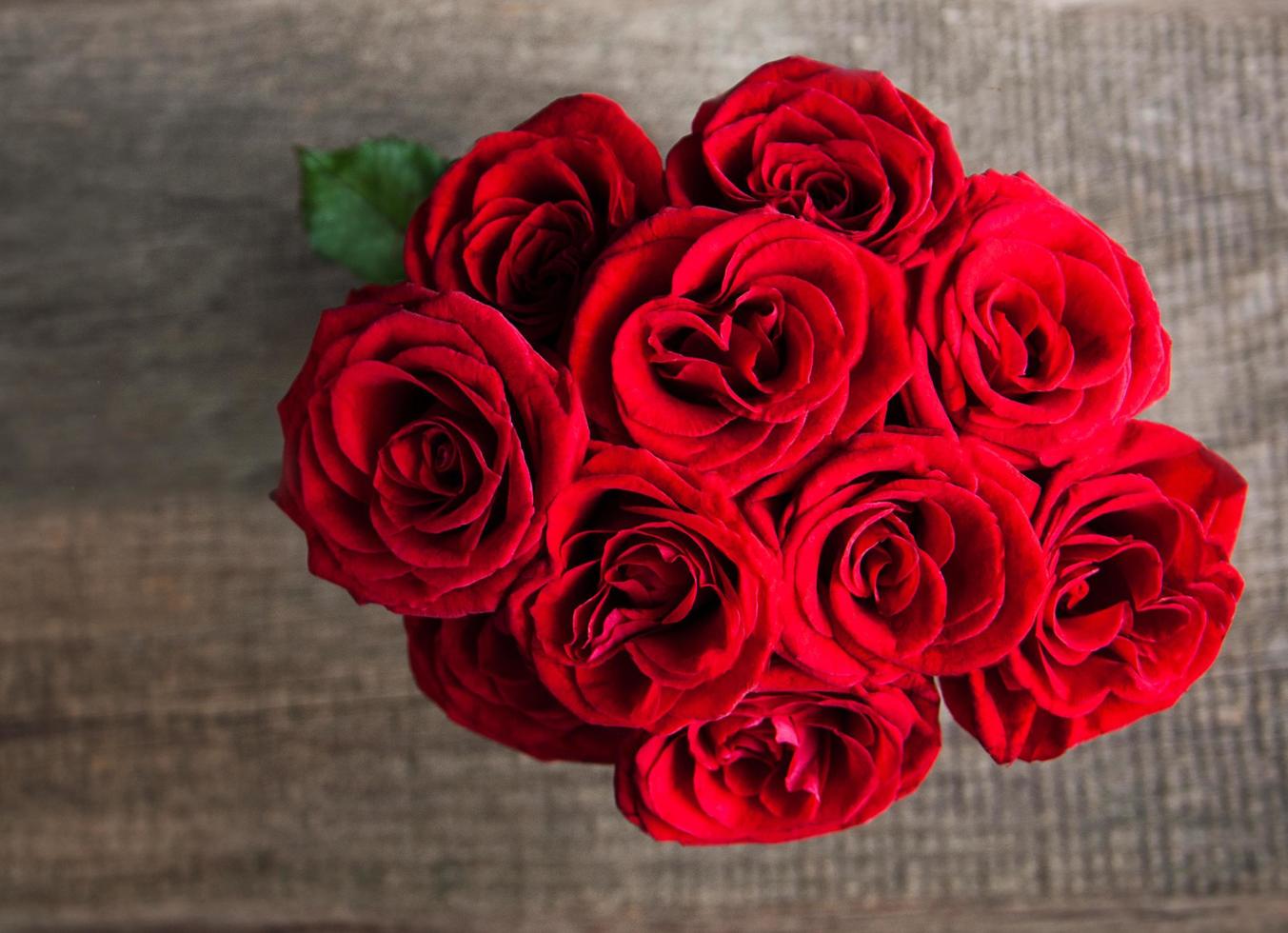 Red roses on a table photo