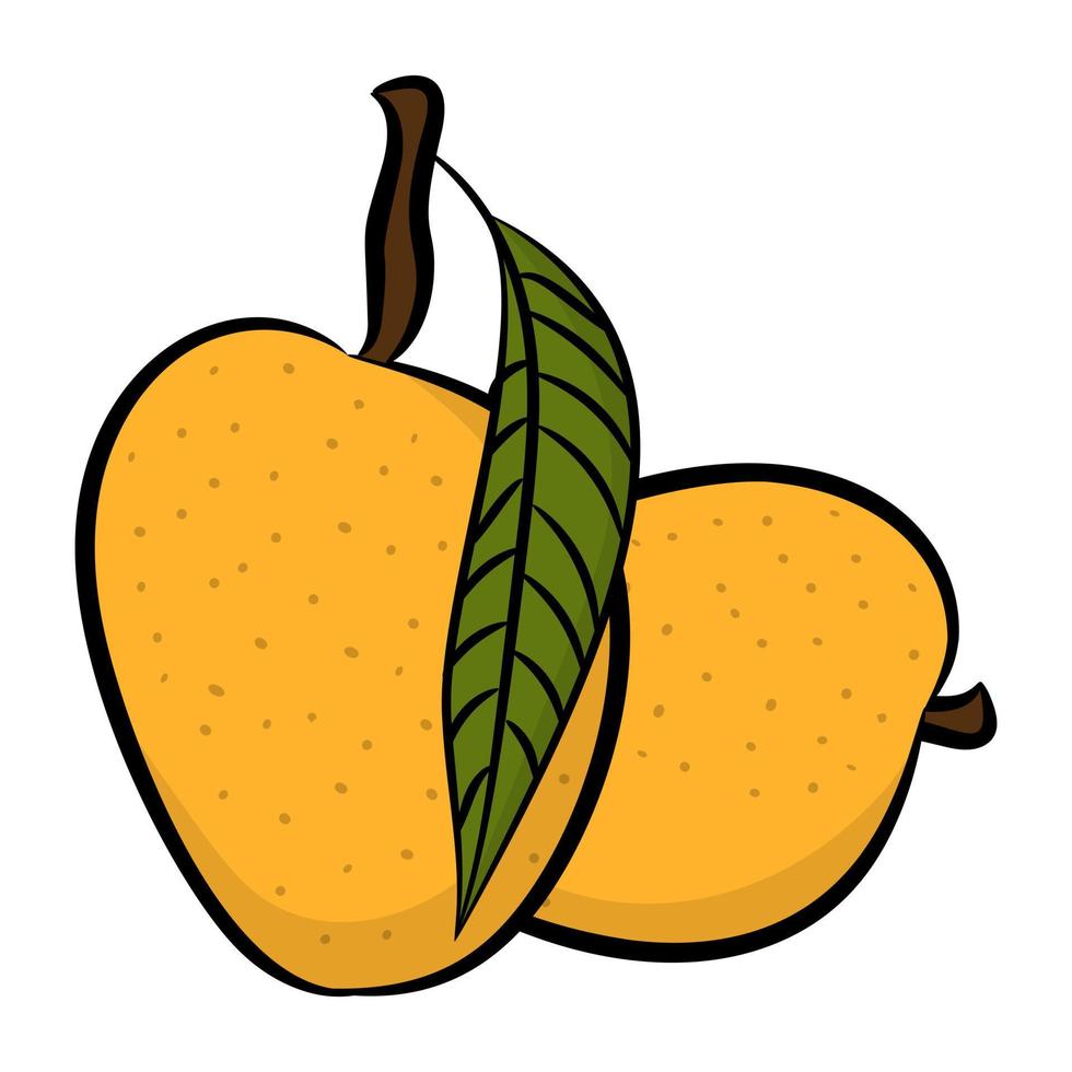 Trendy Mango Concepts vector