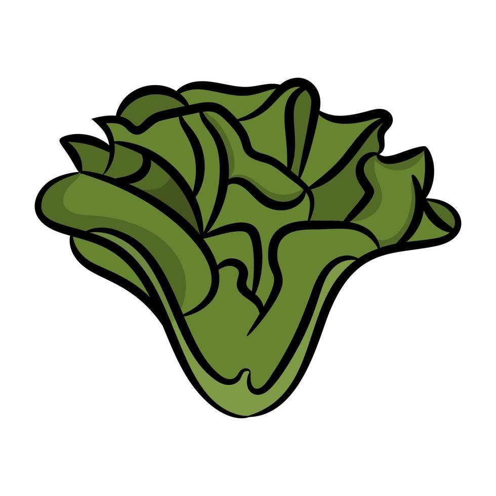 Trendy Kale Concepts 4301700 Vector Art at Vecteezy