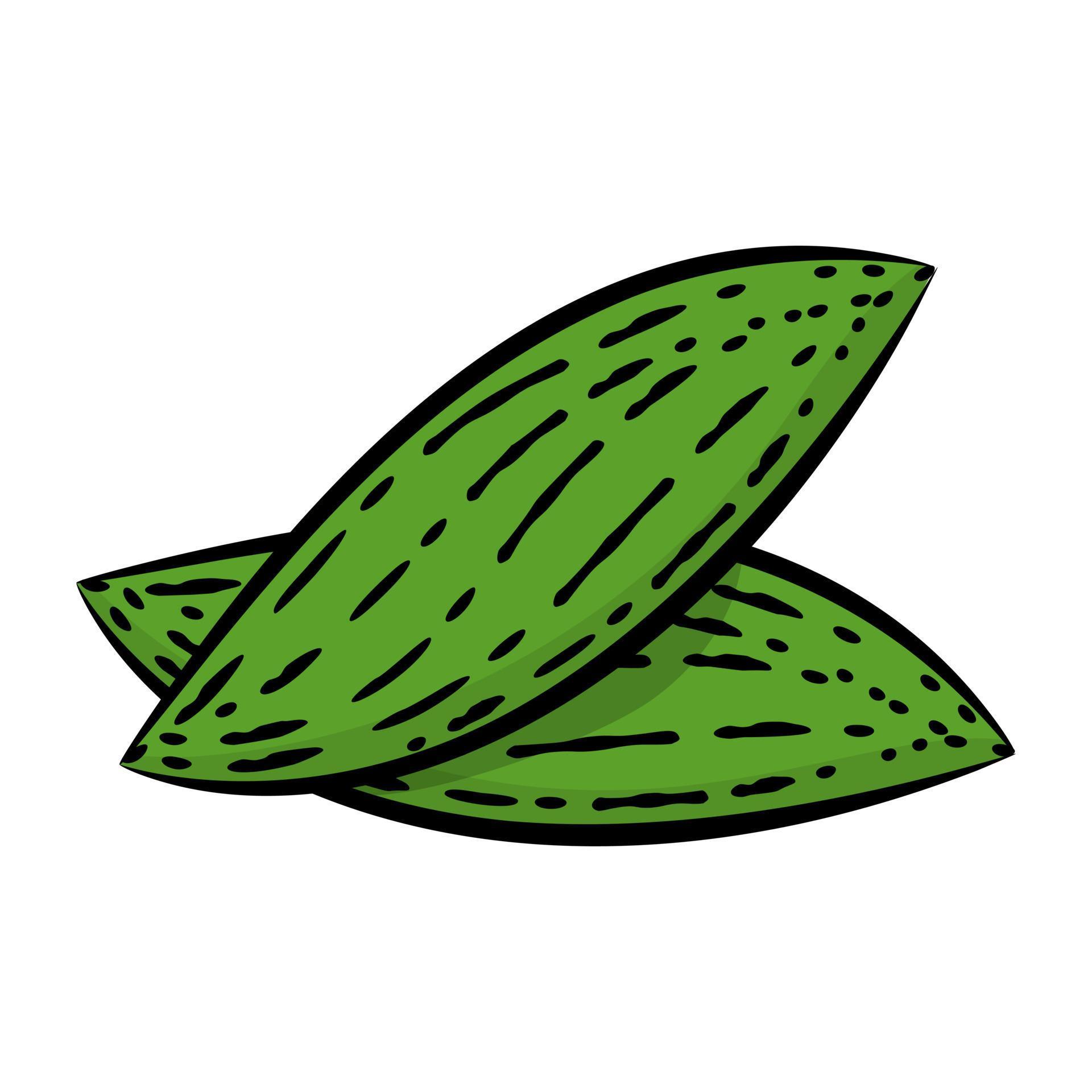 Bitter Gourd Concepts 4301888 Vector Art at Vecteezy