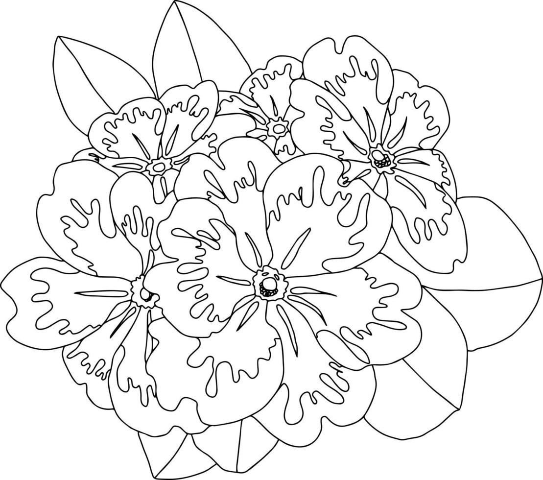 blossom branch flowers with leaves open flowers isolated vector