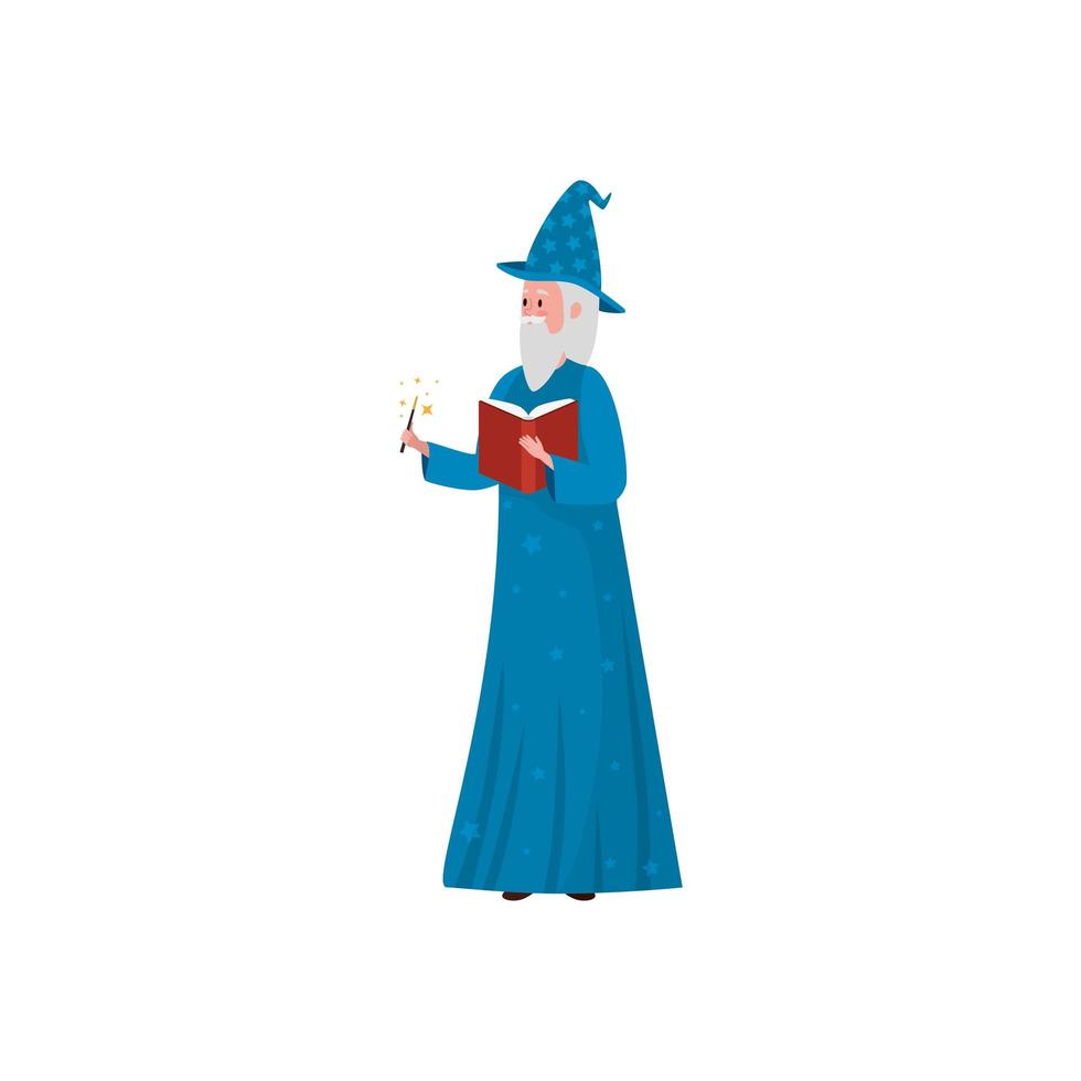 wizard of fairytale avatar character vector