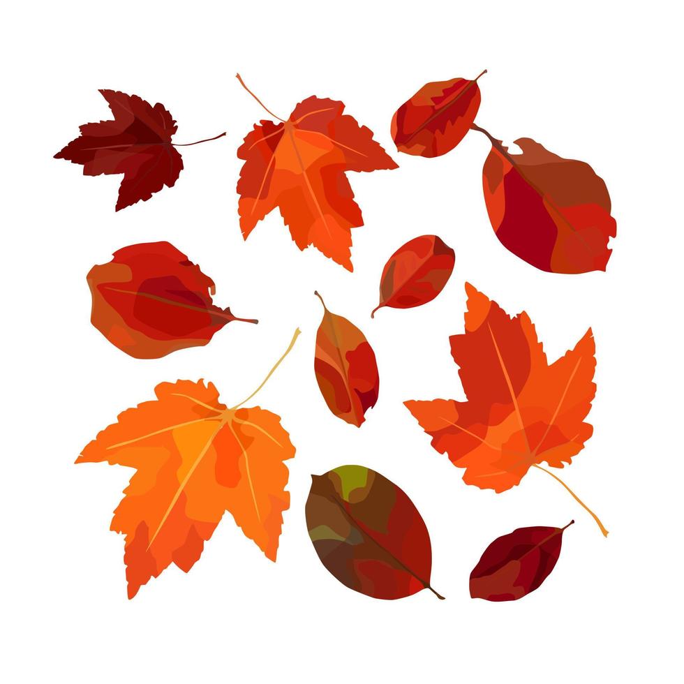 Vector set of autumn leaves. For autumn design, restaurant menu, desserts, invitation cards