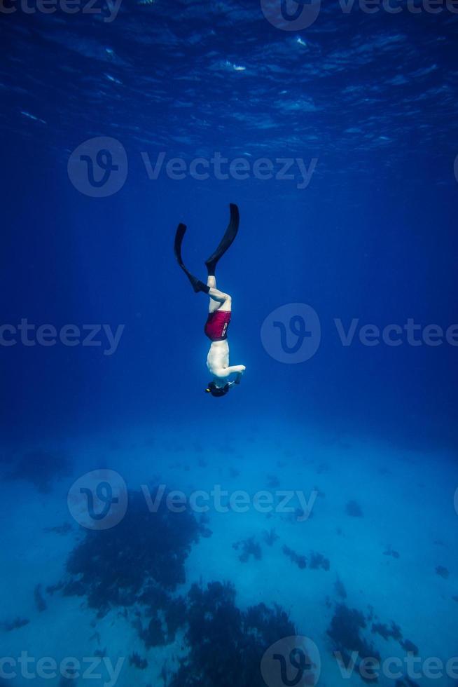 imagen submarina de un apneista con aletas foto