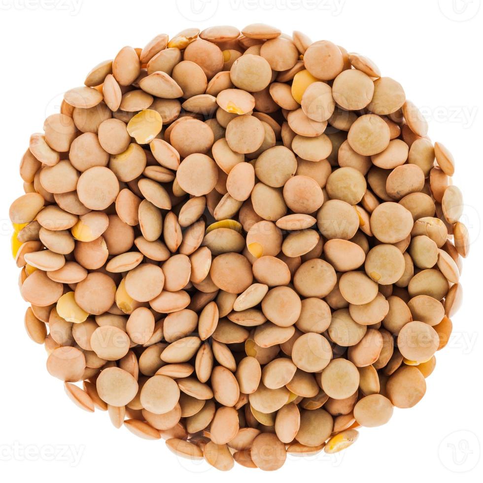 Lentils Circle Isolated on White Background photo