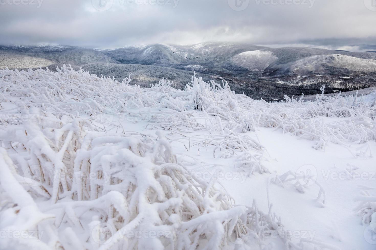 paisaje invernal desde la cima de la montaña en canadá, quebec foto