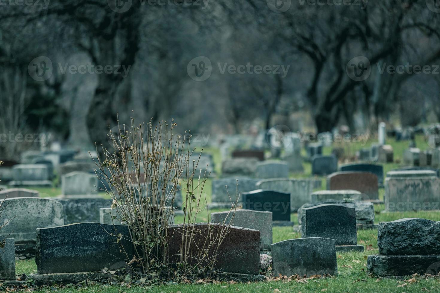 Detrás de las lápidas en un antiguo cementerio en otoño foto
