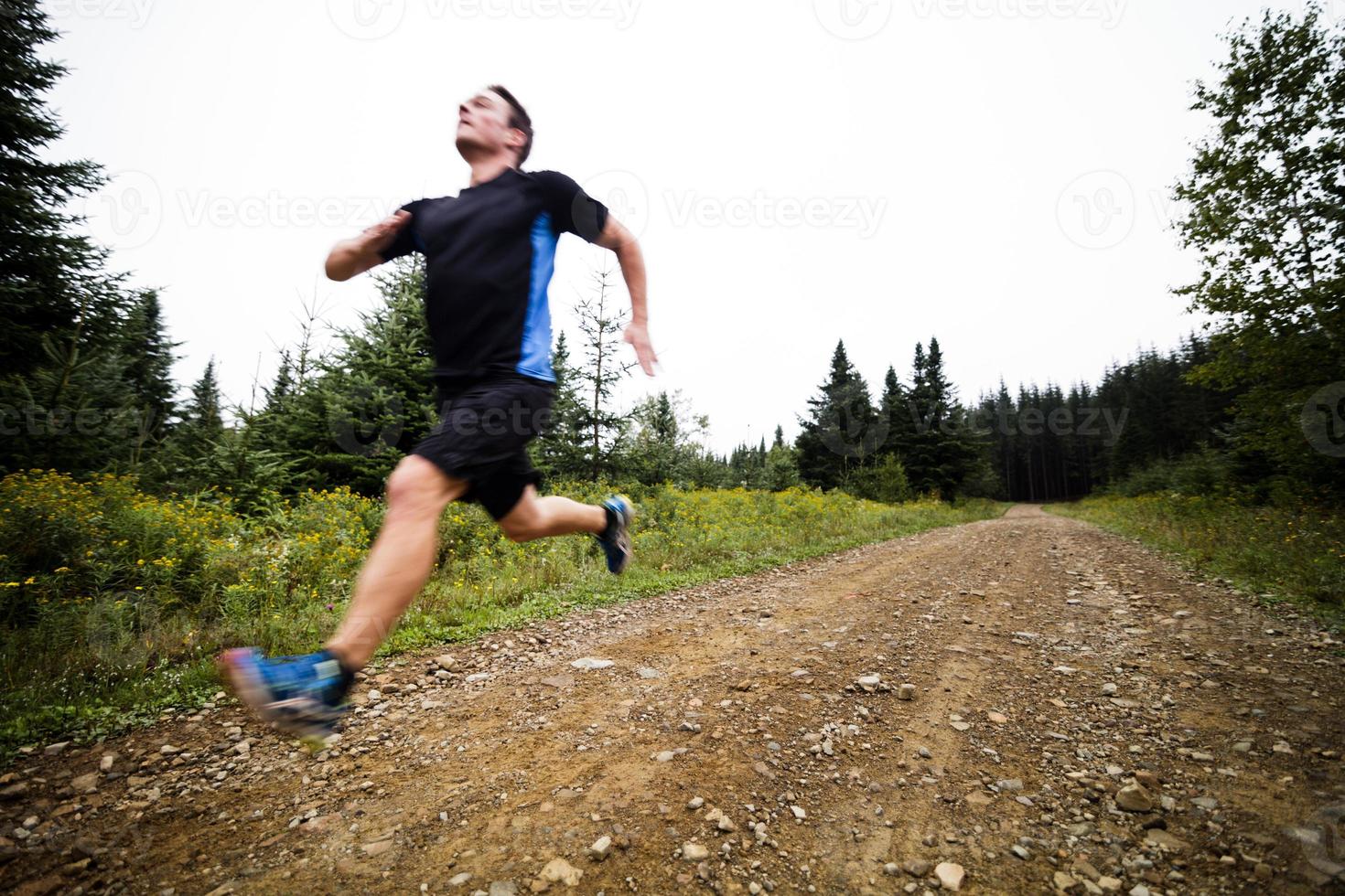 Jogger Training in Forest early in the Morning. photo