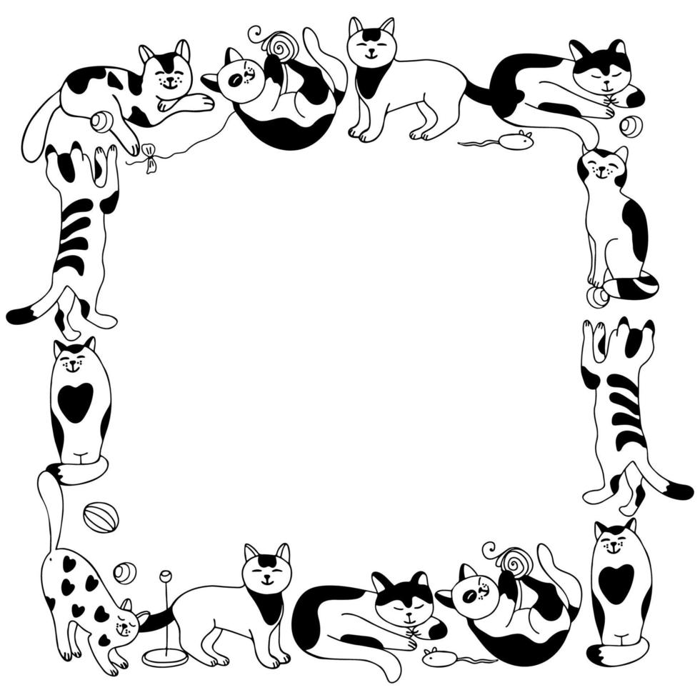 marco cuadrado con lindos gatos. diferentes poses y temperamentos. perezoso, juguetón, cariñoso, tranquilo, gentil vector