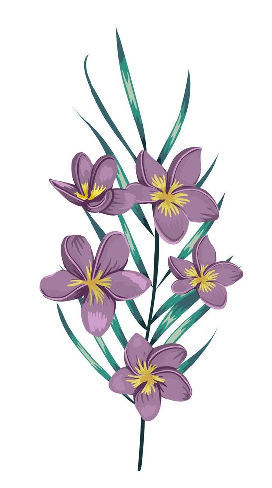 Ilustración vectorial de flores tropicales de colores con rama de palmera aislada sobre fondo blanco. plumeria púrpura estilo acuarela. dibujo detallado floral exótico. elemento de diseño tropical. vector