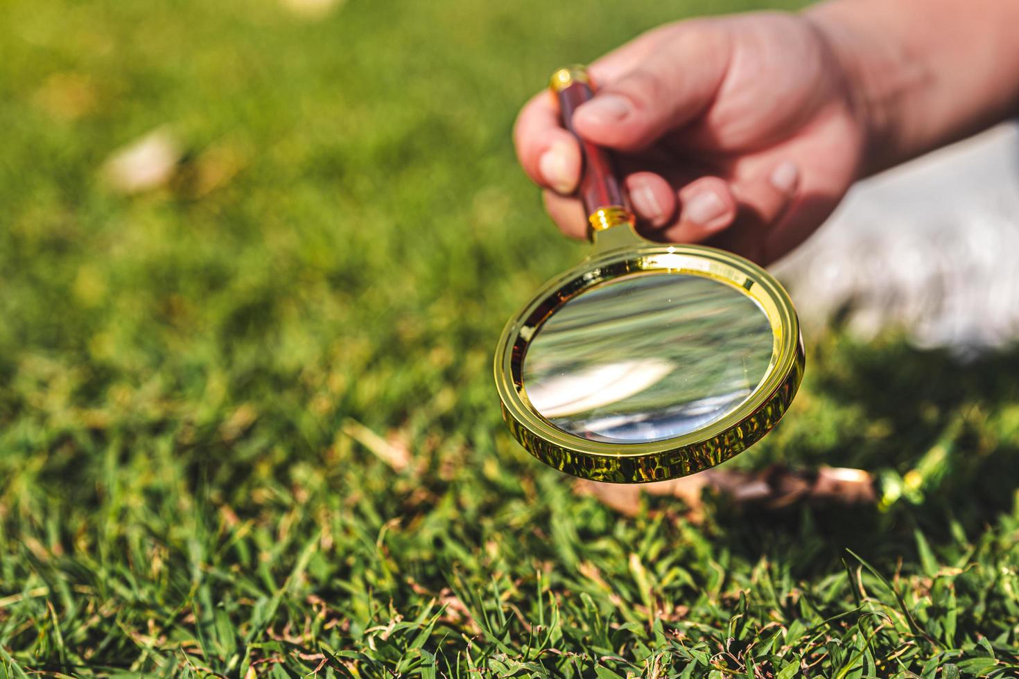 Science experiment concept. Combining sun's rays through magnifying glass to learn about heat and energy sun. photo