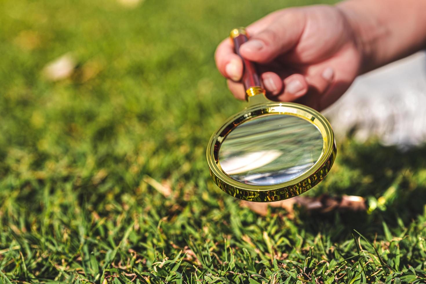 Science experiment concept. Combining sun's rays through magnifying glass to learn about heat and energy sun. photo