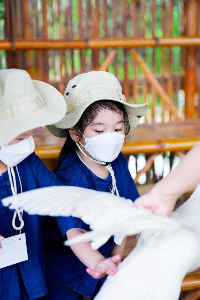 Vertical image. A kindergarten student stroking duck feathers with her hand. Contact with nature. Sensory learning. Children wear white face masks in 4D shapes. photo