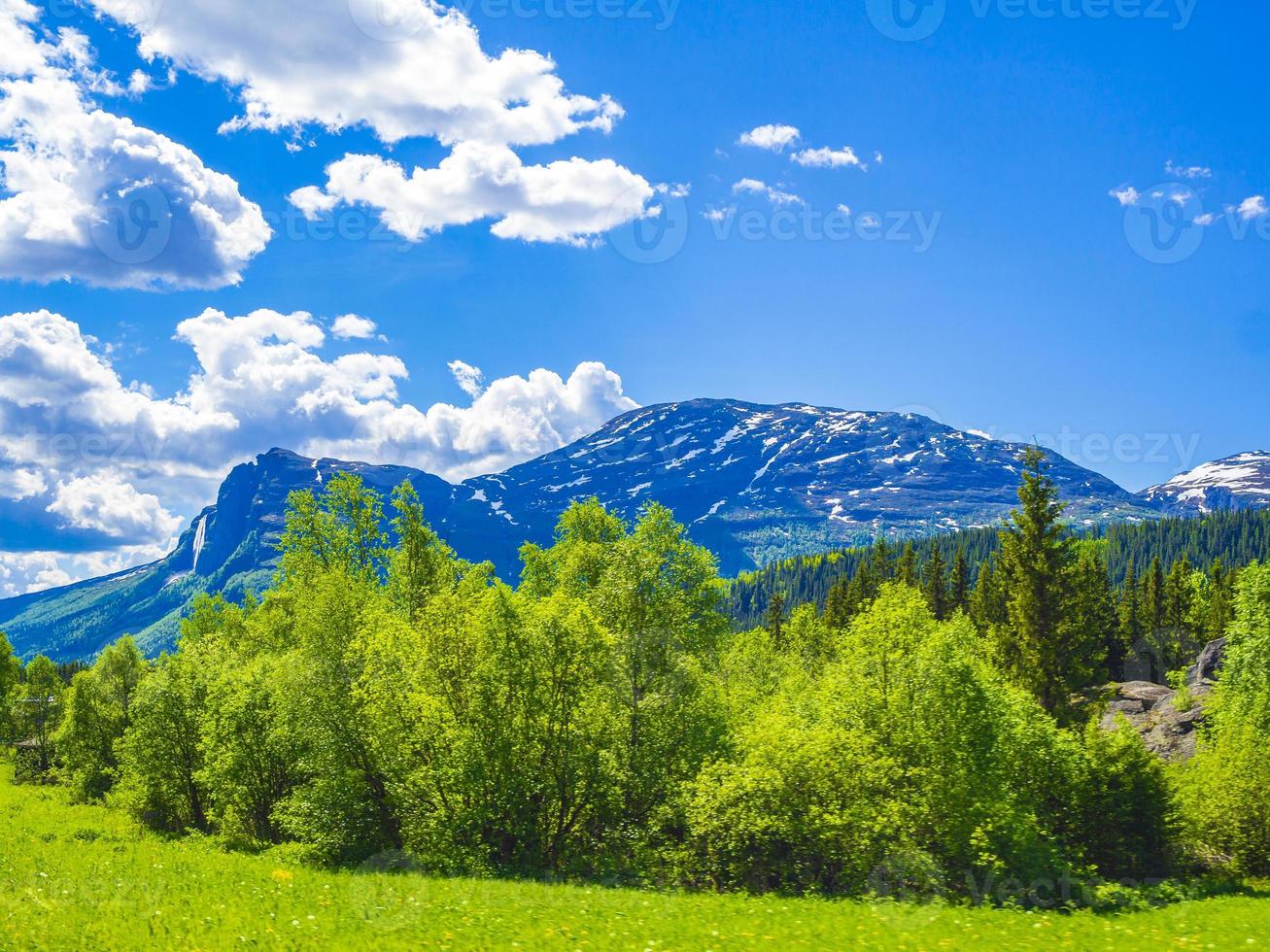 hermoso panorama montañoso hydnefossen y veslehodn noruega hemsedal. foto