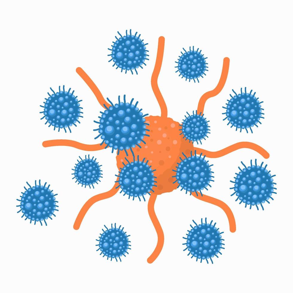 illustration vector flat design T cell or T lymphocyte attacking cancer cell. isolated design