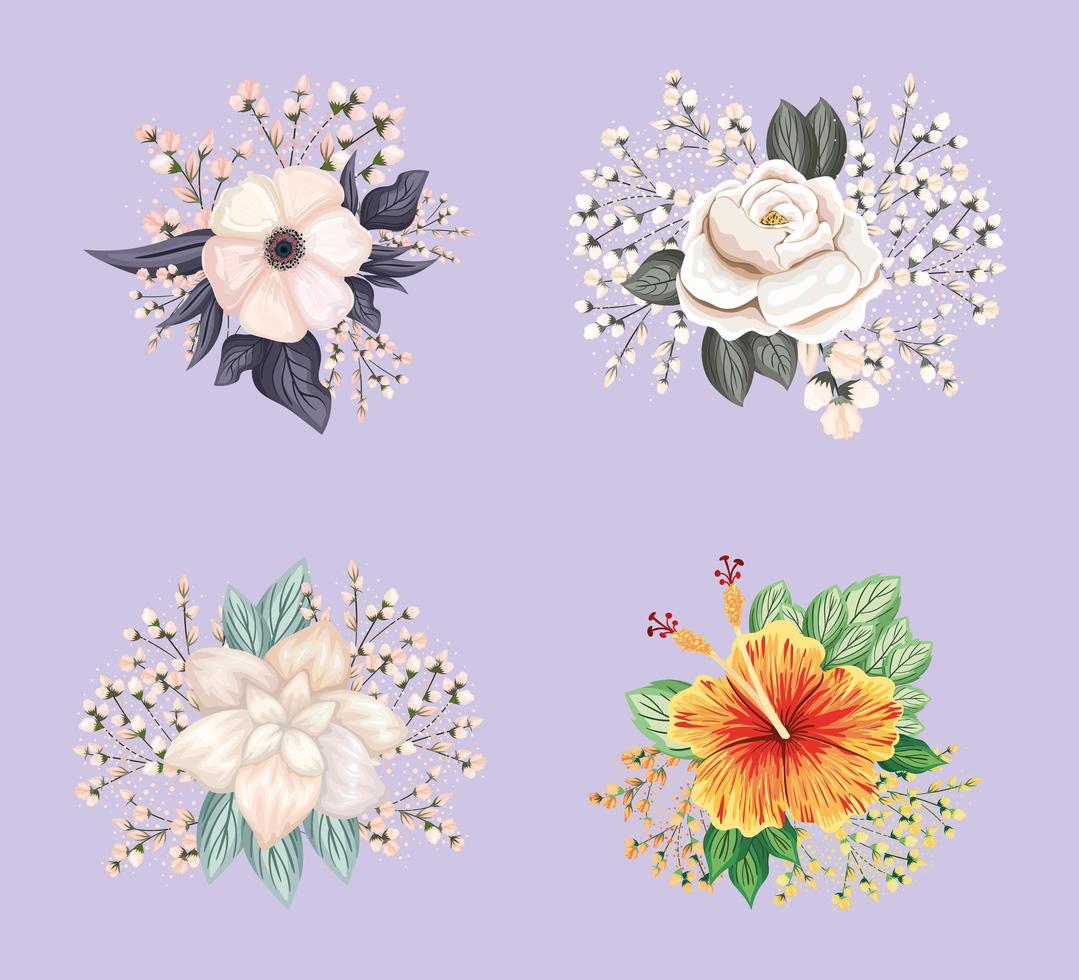 Conjunto de flores blancas con capullos y hojas de pintura de diseño vectorial vector
