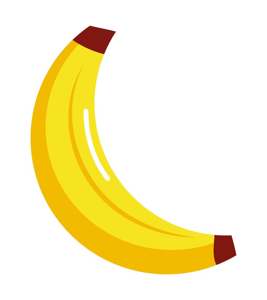 nice banana illustration vector