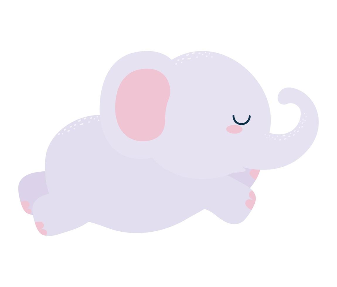 baby purple elephant vector