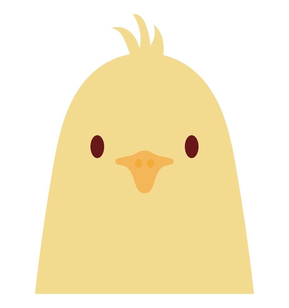 nice baby chick vector