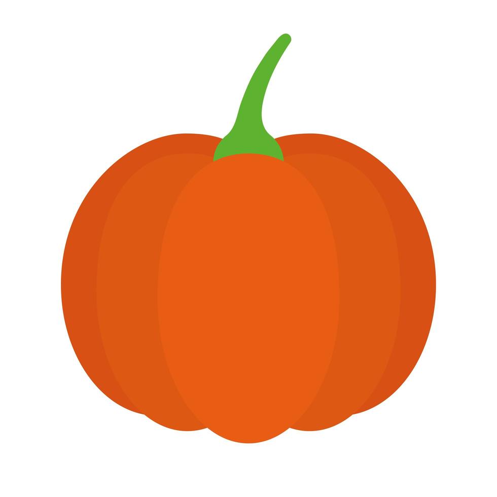 orange pumpkin design vector