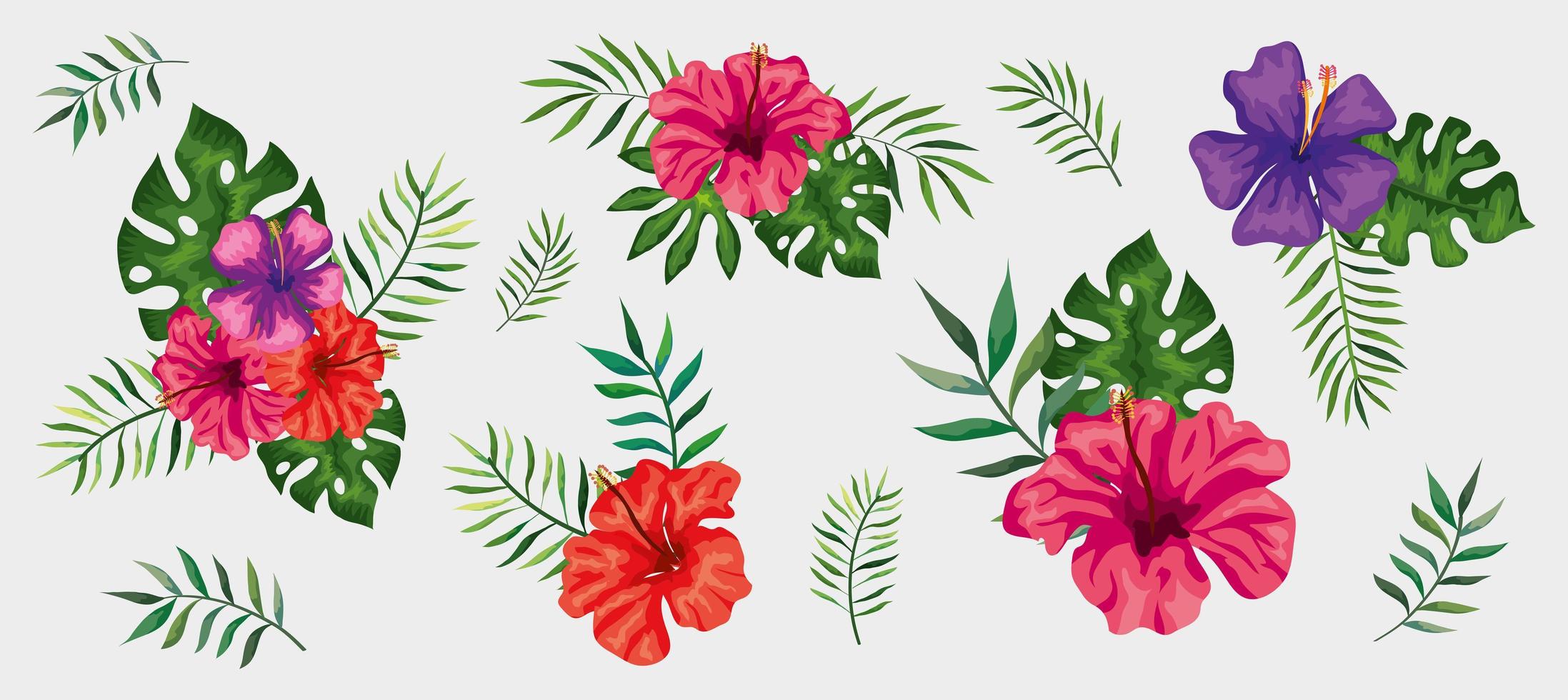 conjunto de flores con ramas y hojas tropicales vector