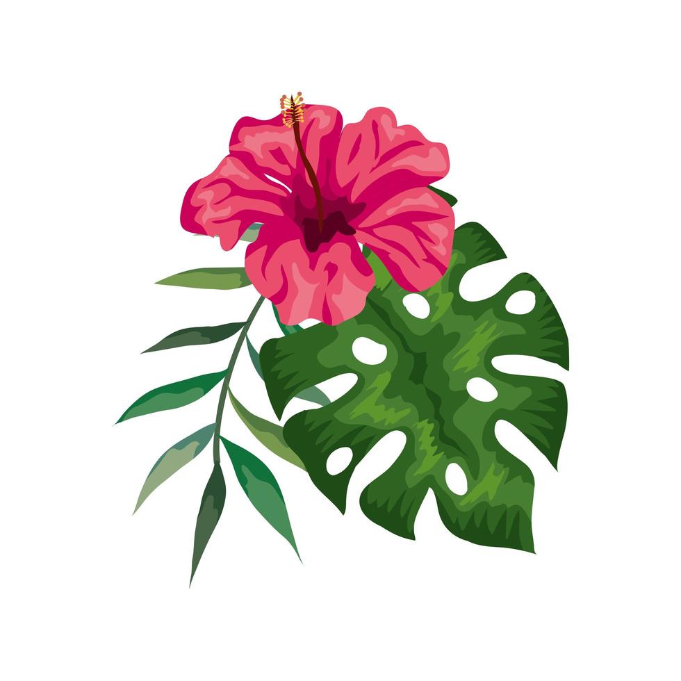 flower of pink color with branch and leafs vector