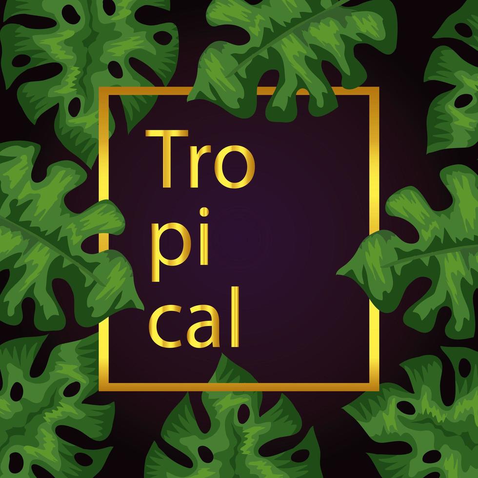frame tropical of leafs nature vector