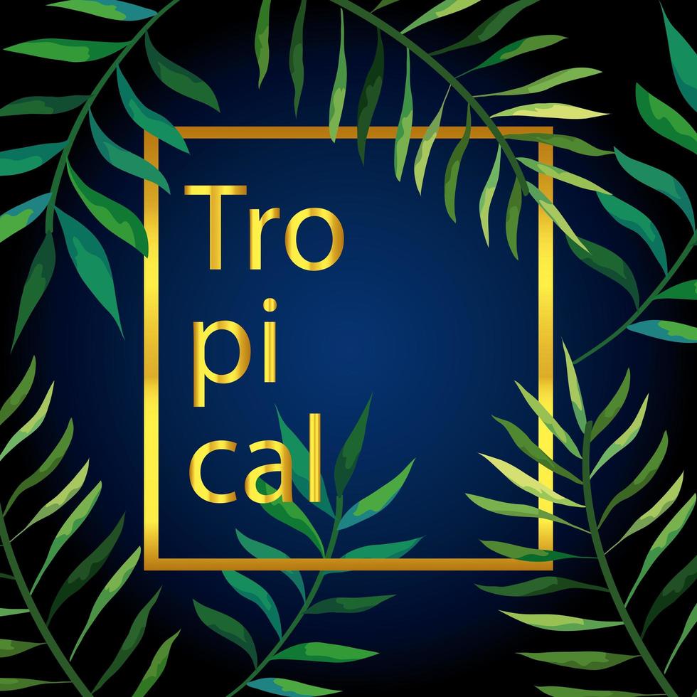 frame tropical of branches with leafs vector