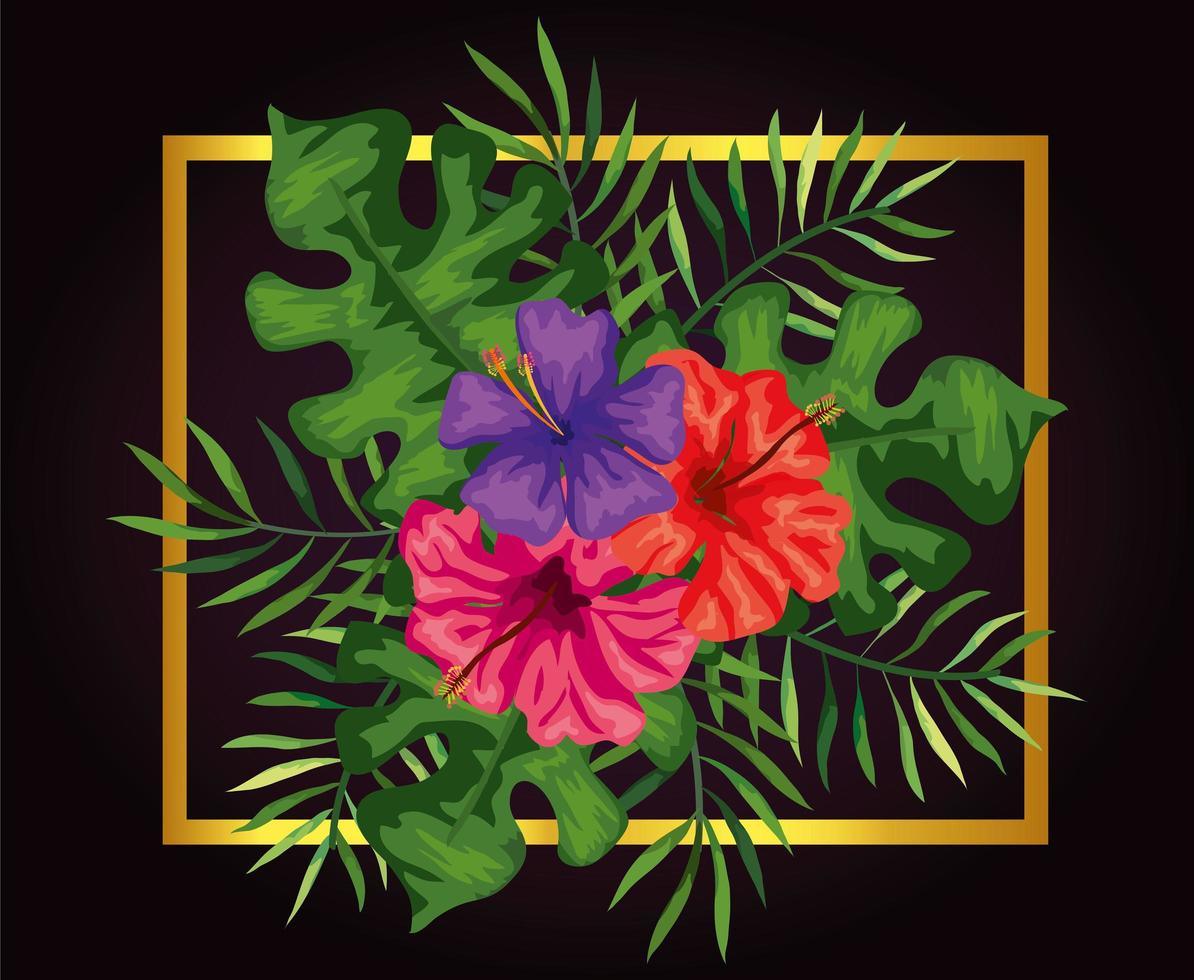 flowers with branches and leafs in frame vector