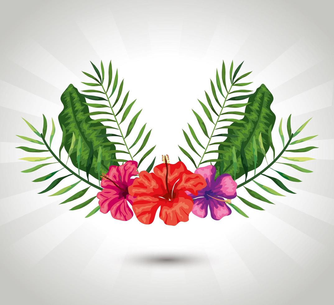 decoration of flowers with branches and leafs vector