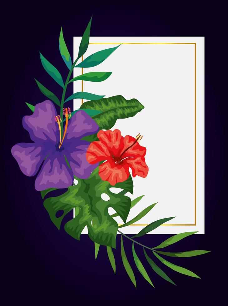 frame with flowers and leafs nature vector