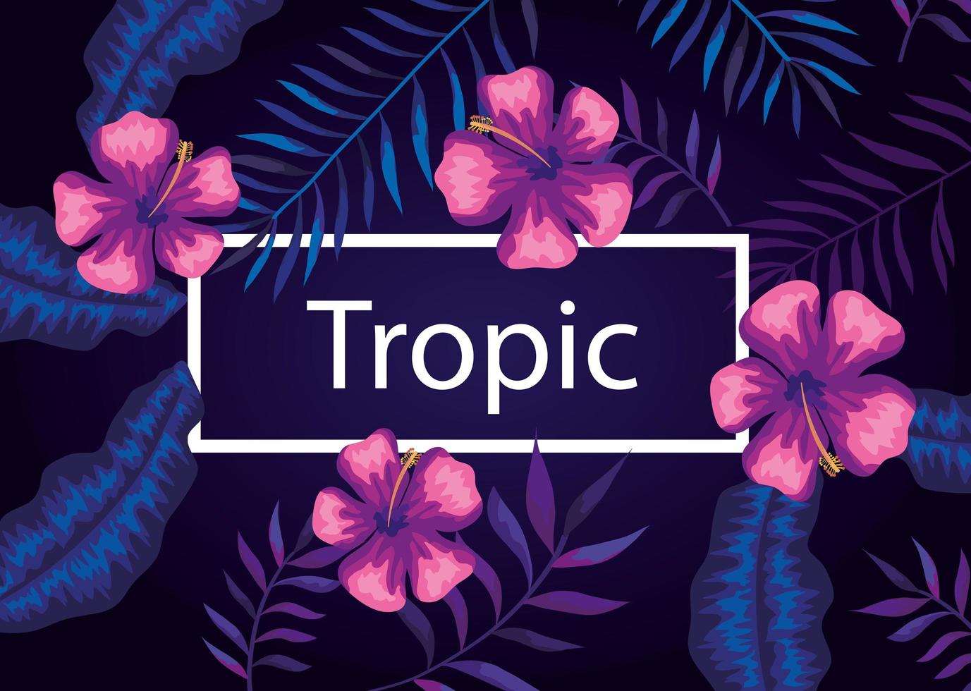 frame tropic with flowers purple and leafs vector